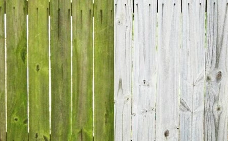 gruenspan entfernen von holz gruenen holzzaun reinigen wetandforget