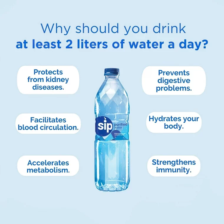 warum sollten sie mindestens 2 liter wasser am tag trinken sippurifiedwater