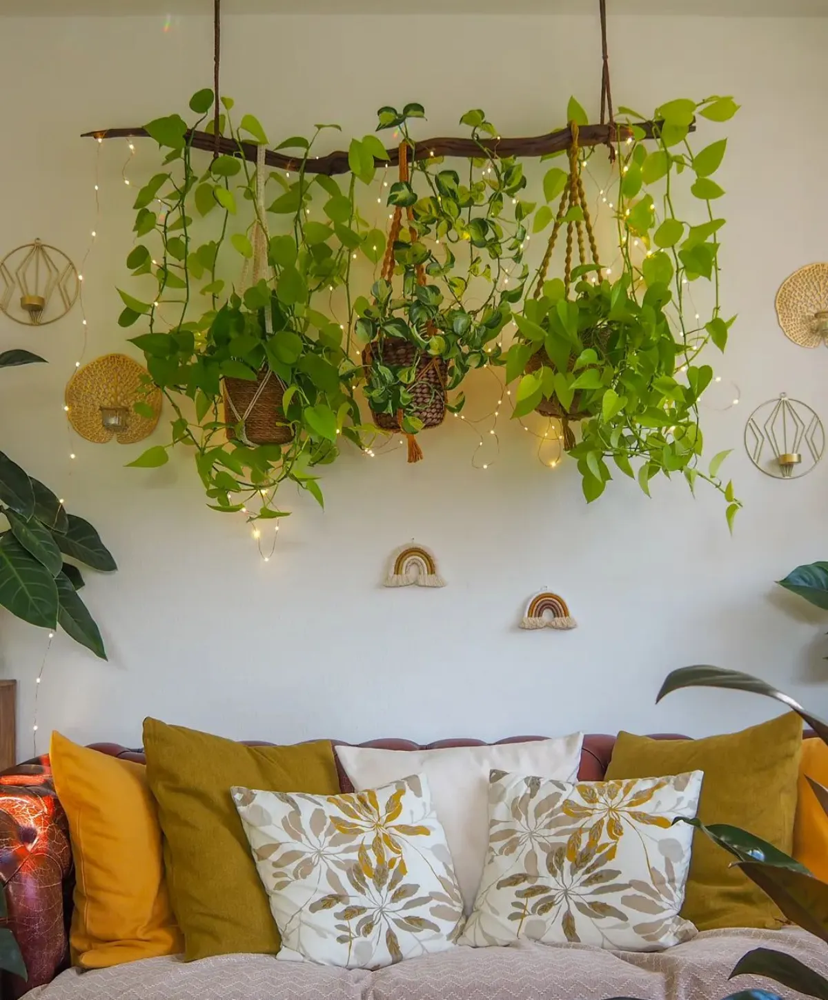 wohnzimmer grüne oase mit kletterpflanze efeutute