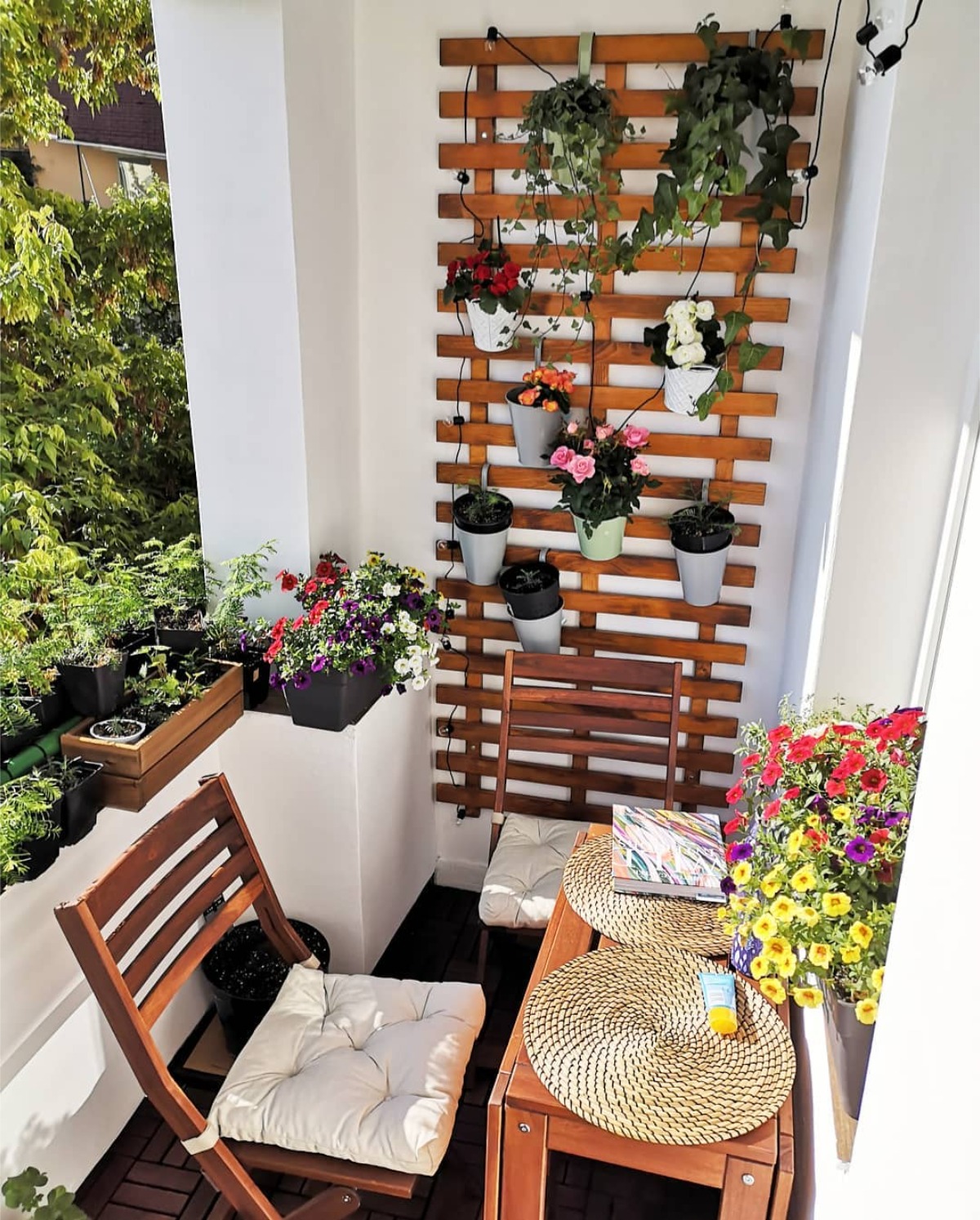 hängepflanzen für den balkon, die sonne lieben