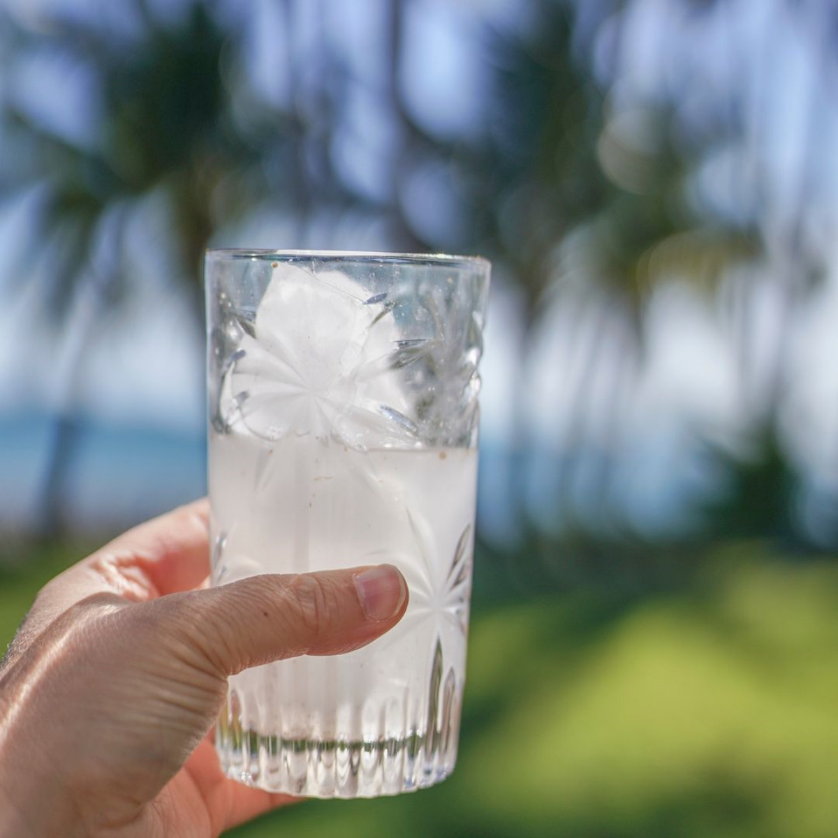 gesundheitliche vorteile vom kokoswasser