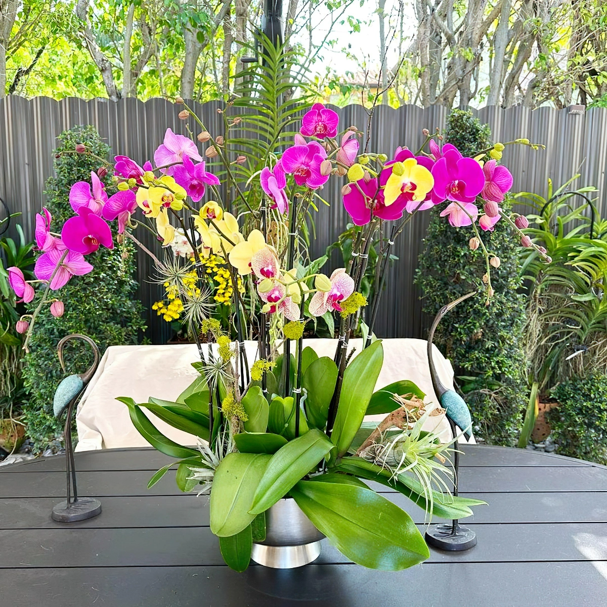 orchidee schneiden grosse rosa und gelbe orchideen im topf orchids paradise