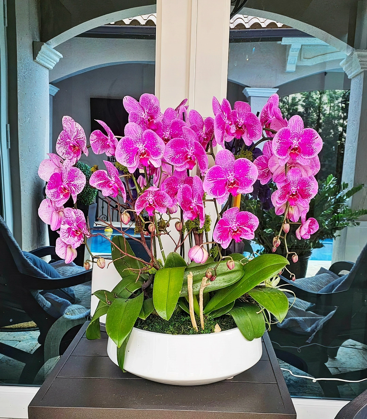 orchideen zurueckschneiden wie und wann muss man das machen 