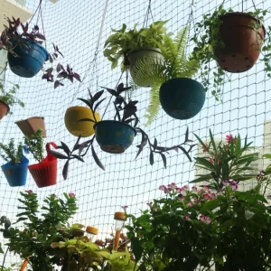 viele hängepflanzen auf kleinem balkon