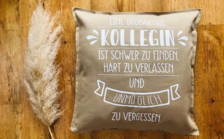 ein kissengeschenk mit sprüchen zum abschied für kollegen