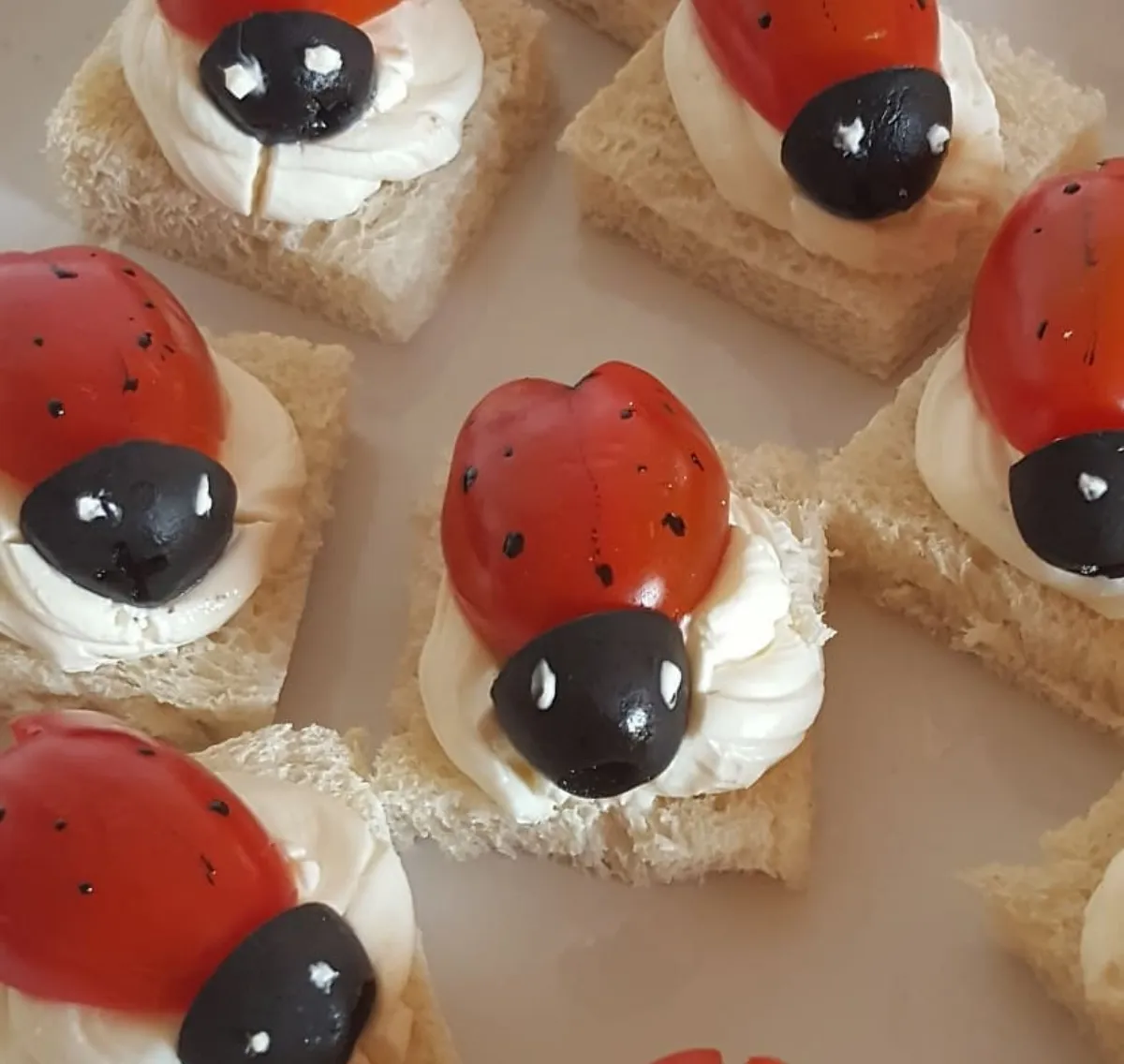 fingerfood für kinder marienkäfer aus cherrytomaten und oliven