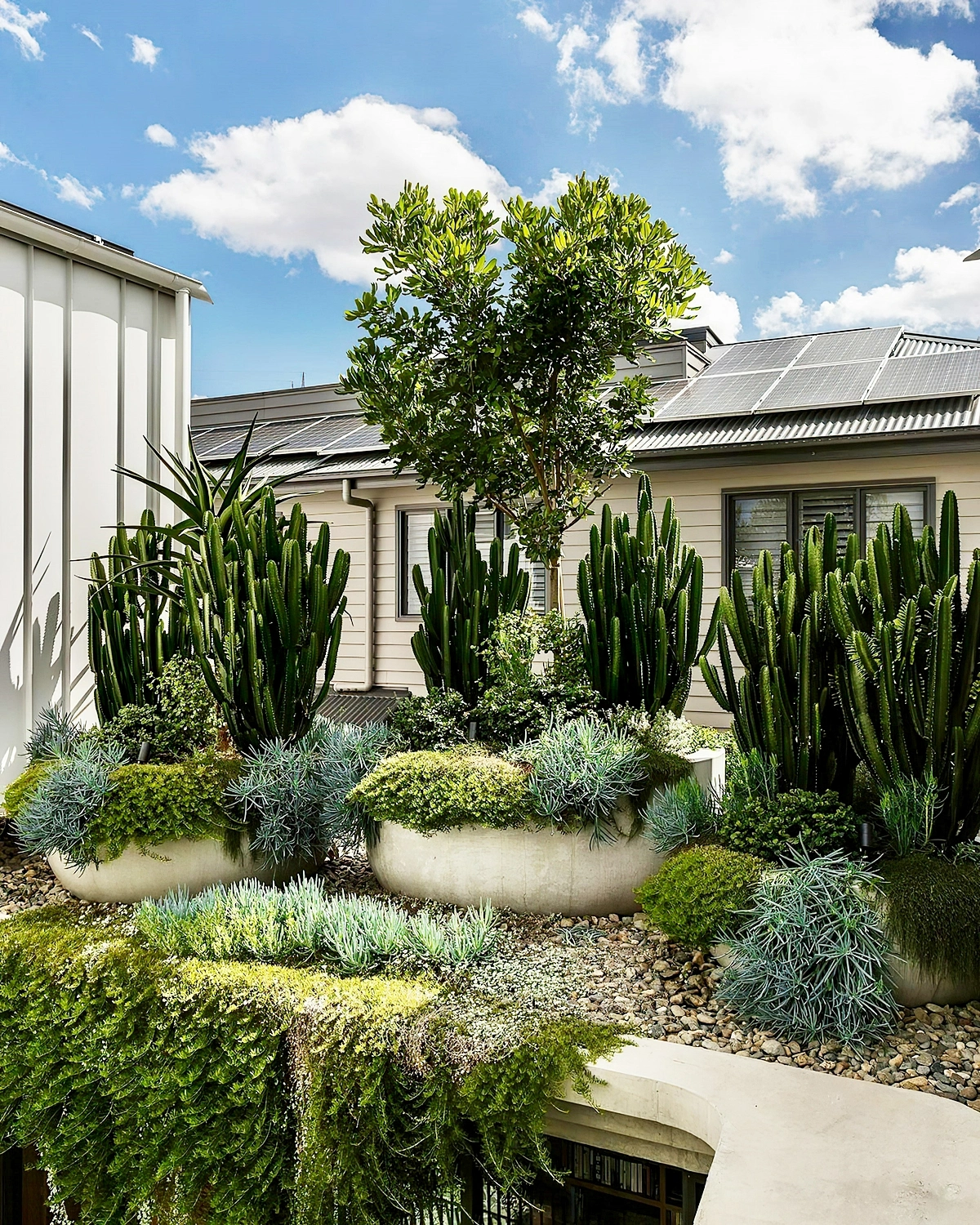 flihne im garten modernes haus mit kleinem aussenbereich thesmallgarden 