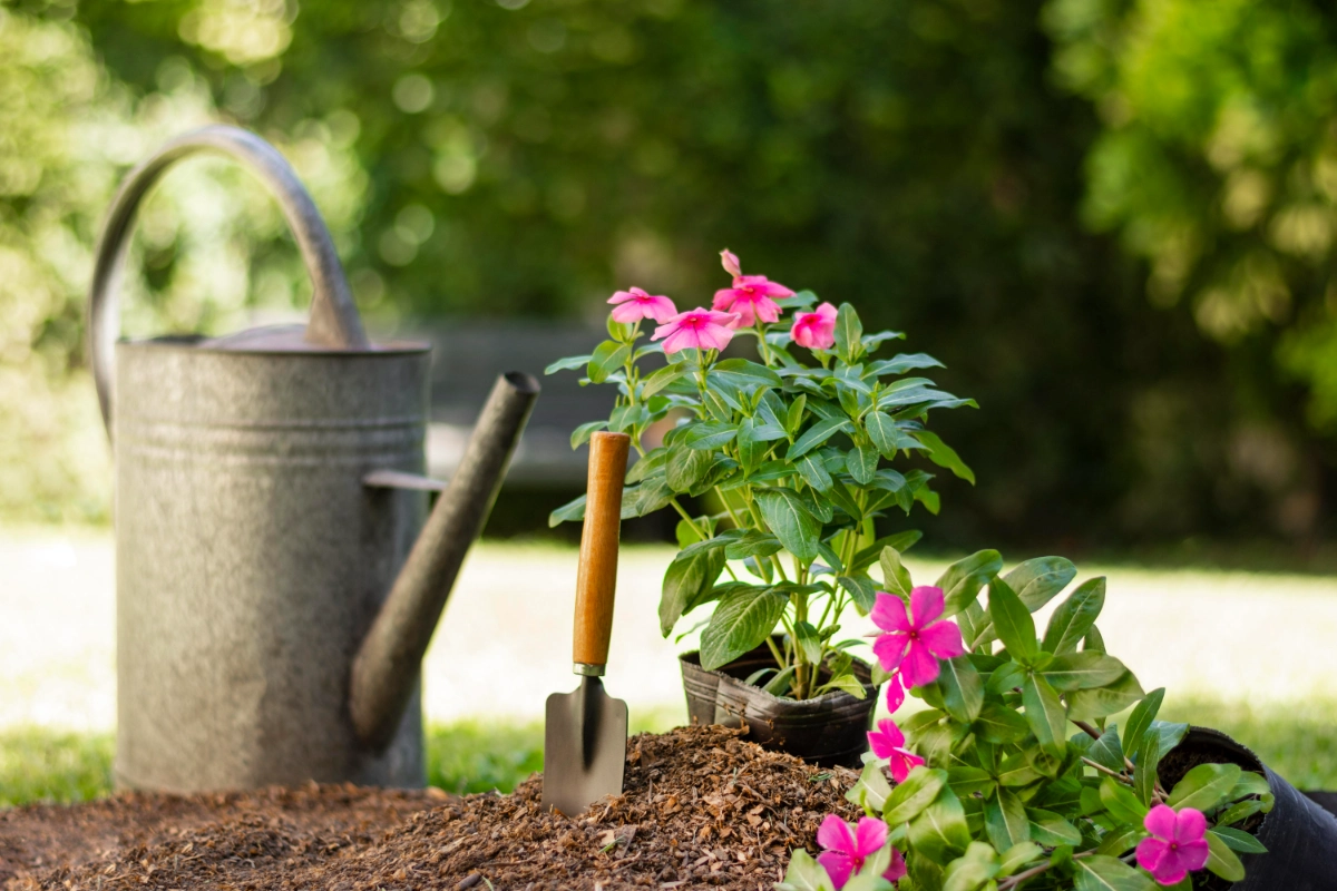 gartenarbeit garten gruener gestalten tipps