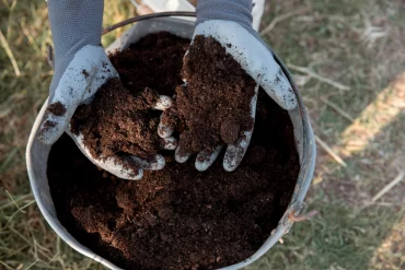 gartengestaltung ideen oesterreich gartenfaser