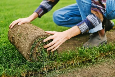 gartengestaltung in oesterreich rollrasen verlegen tipps