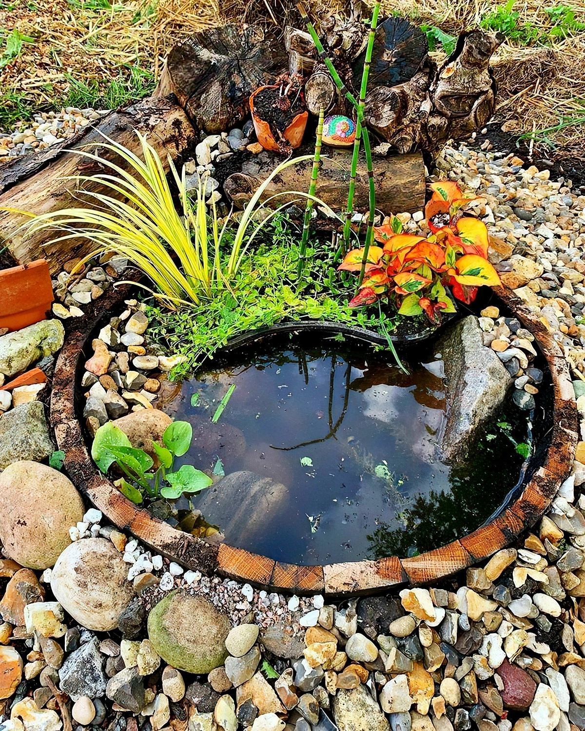 gartenteich ideen runder teich mit pflanzen und steinen