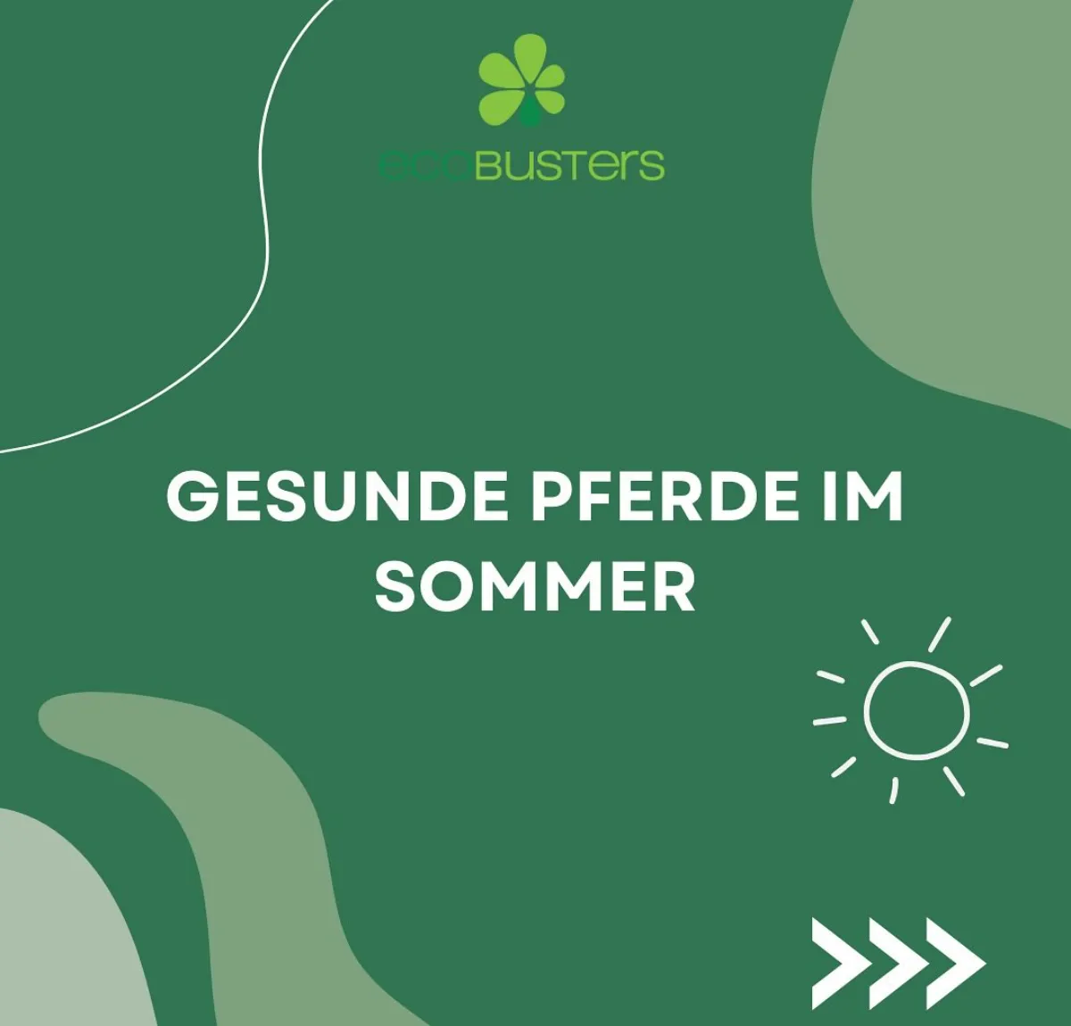 gesunde pferde im sommer was ist zu beachten