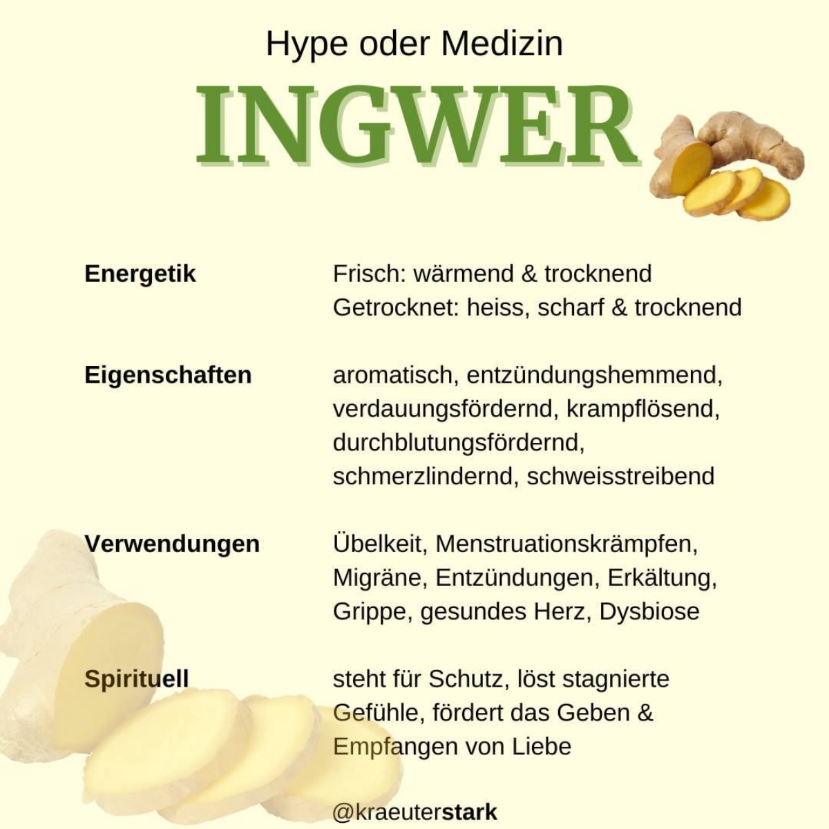 ingwer fuer gesunden magen und darm