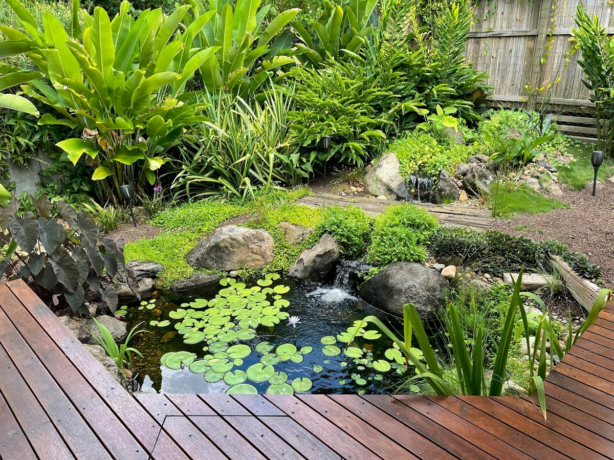 kleiner gartenteich mit pflanzen und firsche koi pondworksaustralia