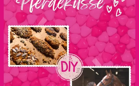 pferdeküsse rezept gesunde natürliche snacks für pferde