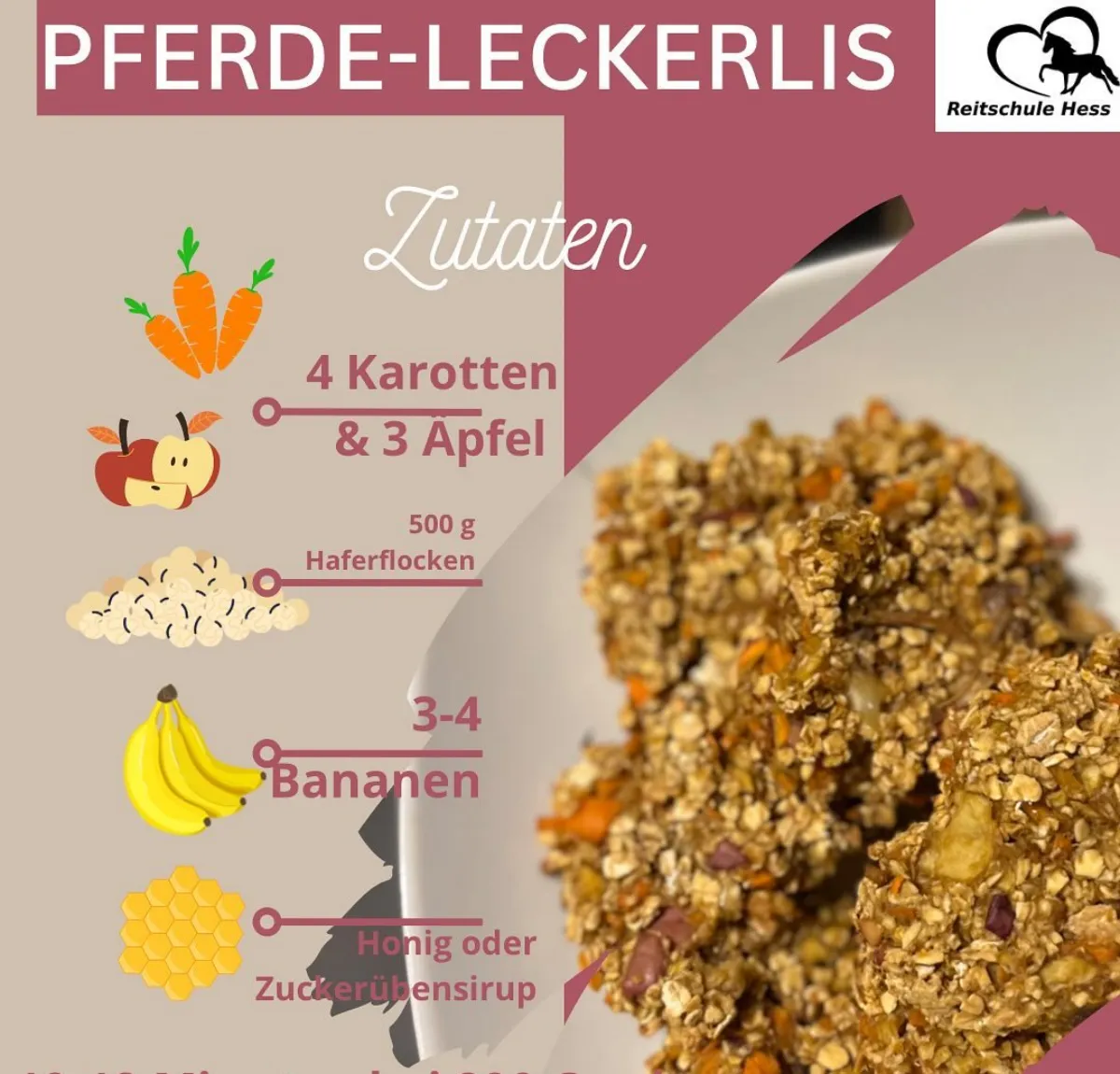 pferdeleckerlies selber machen rezept mit karotten äpfen und bananen