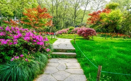 so wird ihr garten gruener tipps fuer einen nachhaltigen garten