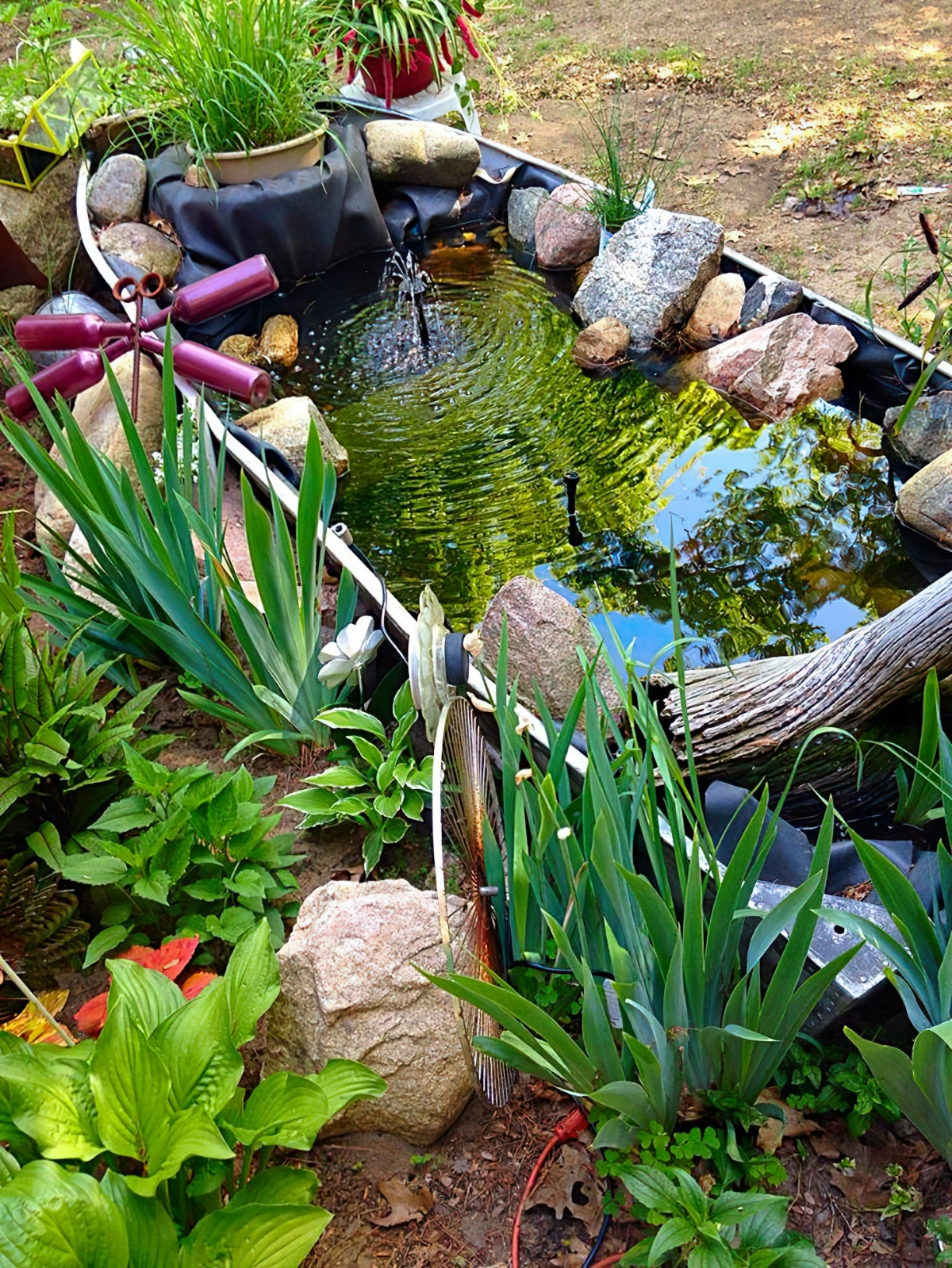 zinkwanne teich im garten gartenteich selbstgebaut foto