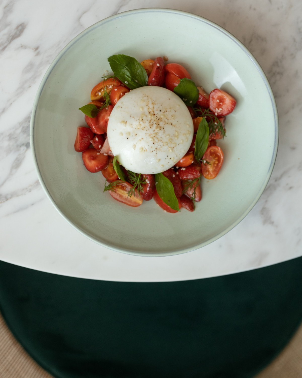 tomaten burrata salat mit basilikum