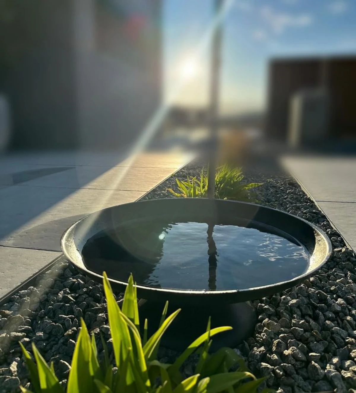 blickebene schoene wasserschale im garten