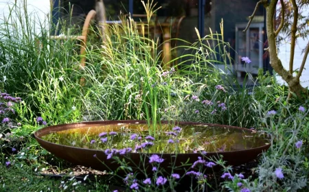 wasserschale cortenstahl fuer den garten