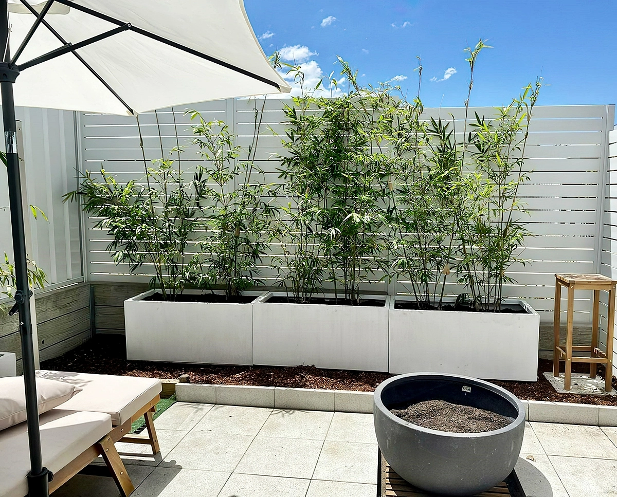 windschutz fuer die terrasse weisser zaun schutz vor wind garten zenbamboos