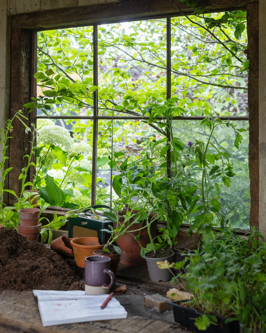 pflanzen im garten im herbst vor dem winter