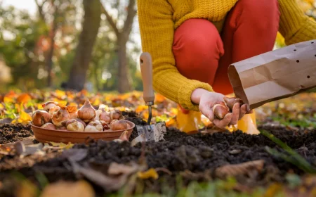 pflanzung im herbst