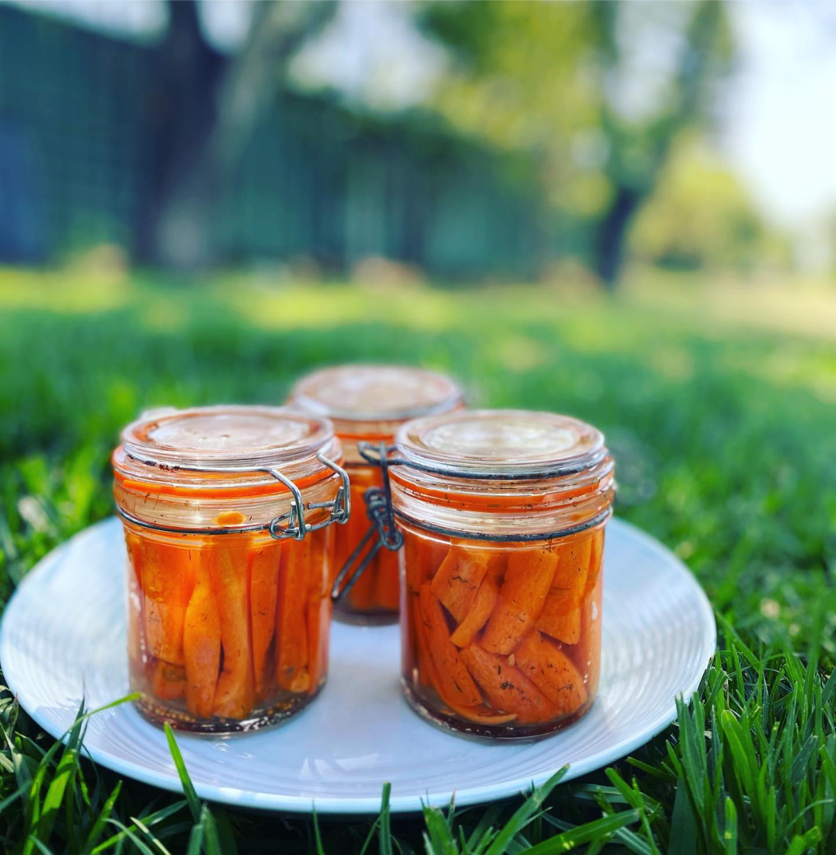 drei gläser mit fermentierten karotten