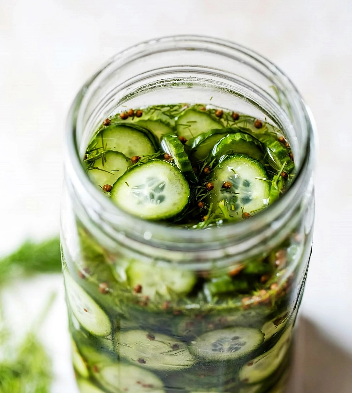 essiggurke selber machen fermentierte gurkenscheiben im glas wellplated