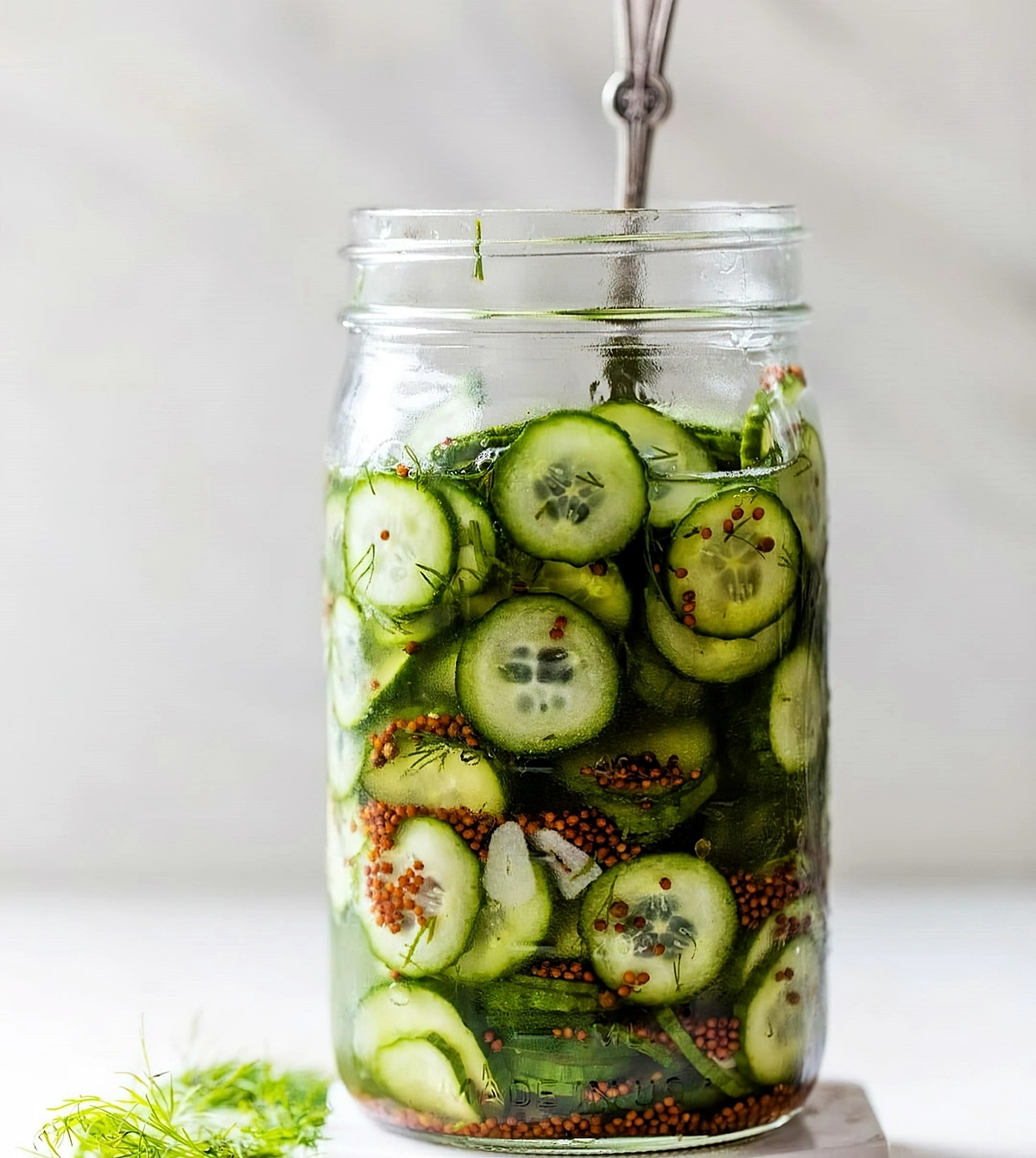 gurken fermentieren das beste rezept gurkenscheiben mit gewurzen in glas wellplated