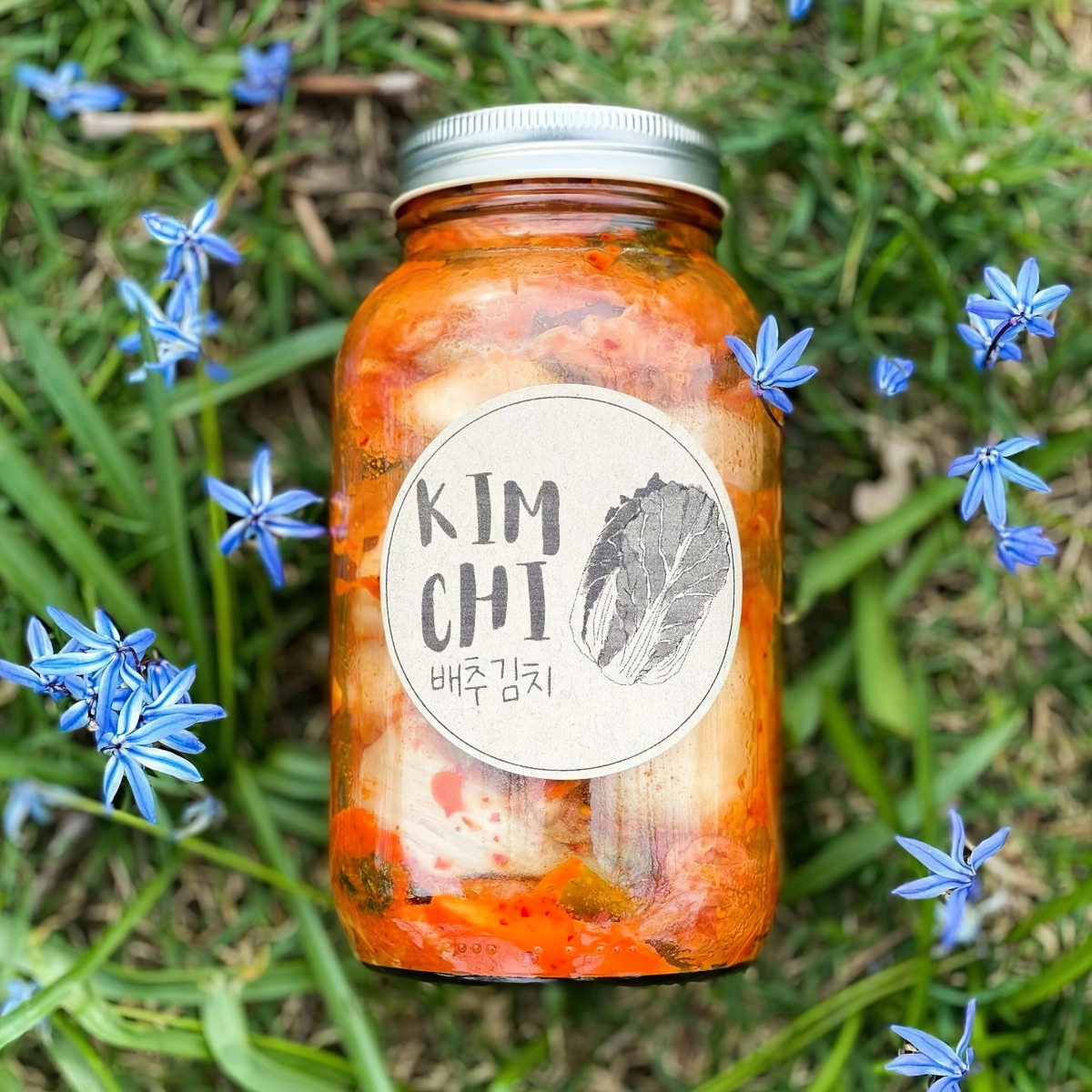 kimchi rezept fuer einsteiger kim chi fermentieren originale zubereitung avecjayden