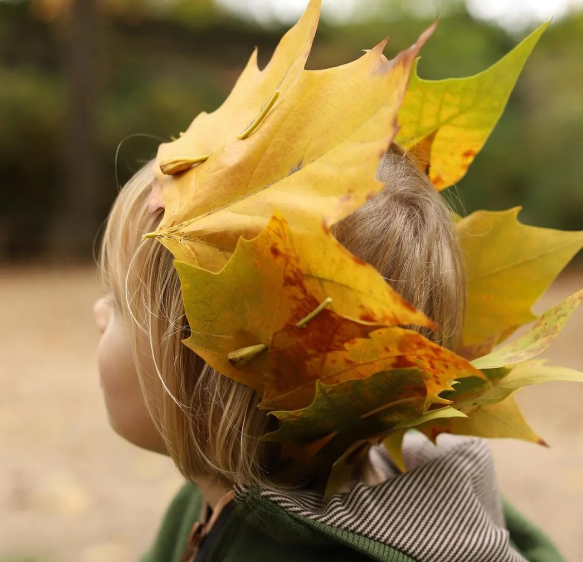 krone aus herbstblättern kindergarten diy ideen