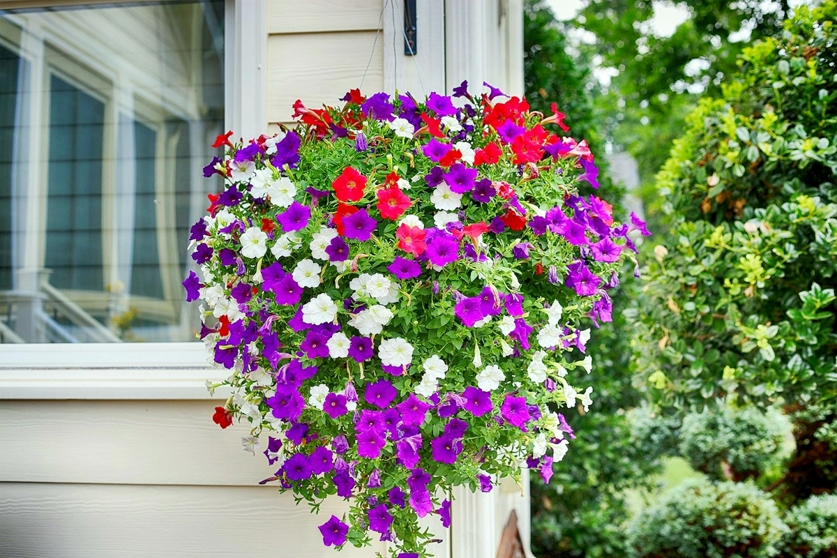 garten in eine oase der entspannung verwandeln haengende deko topf mit blumen ampelblumen