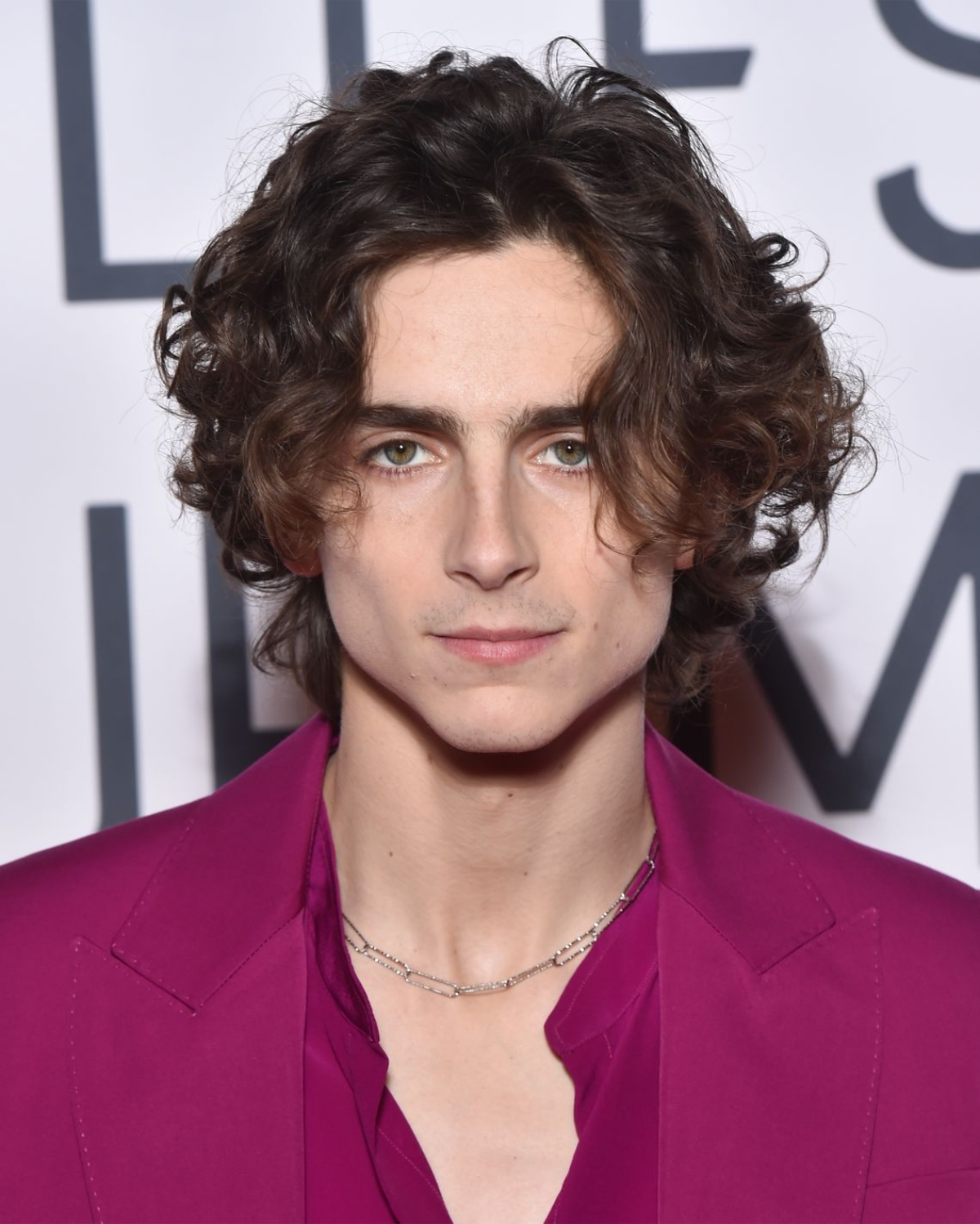 timothee chalamet curtains frisur