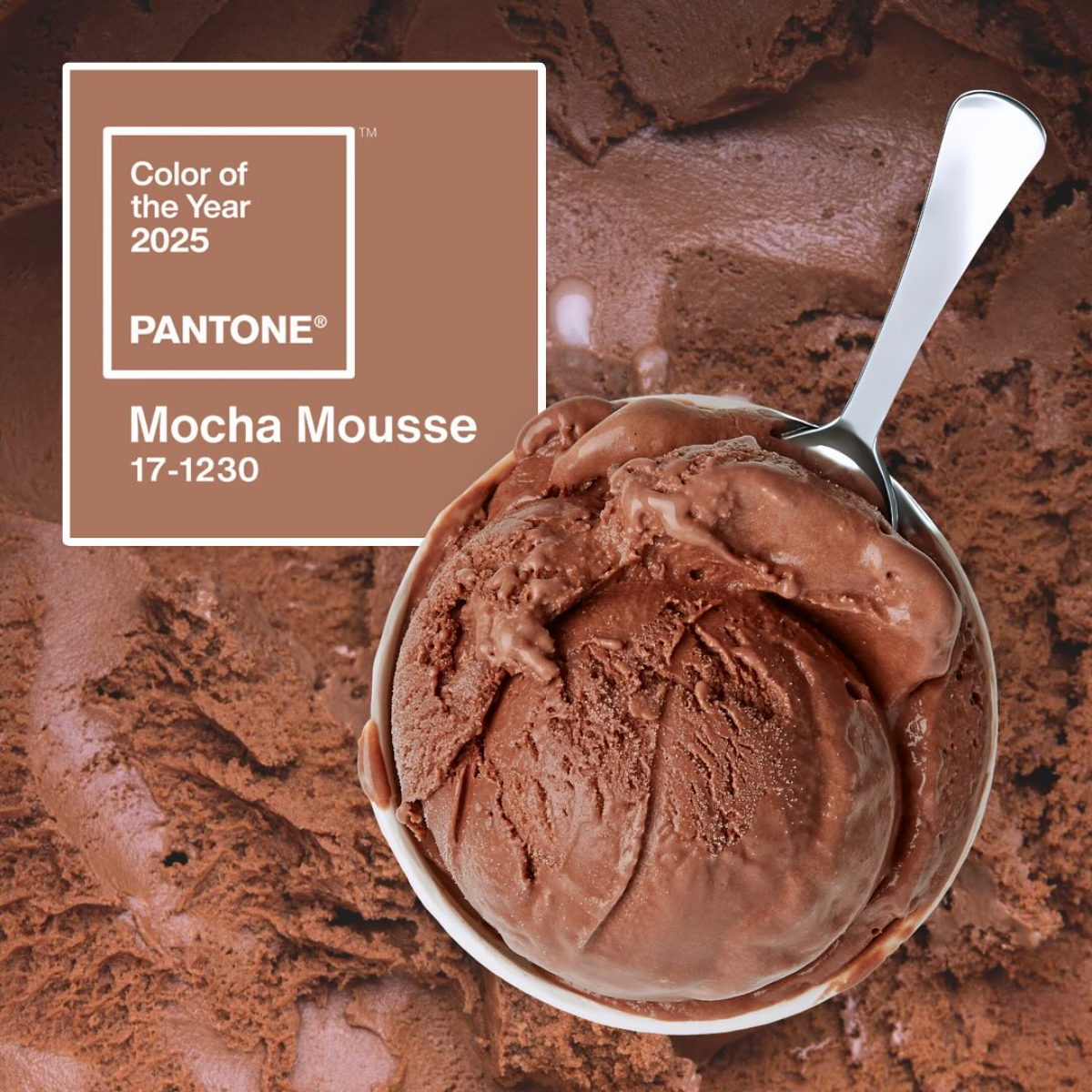 farbe des jahres mocha mousse