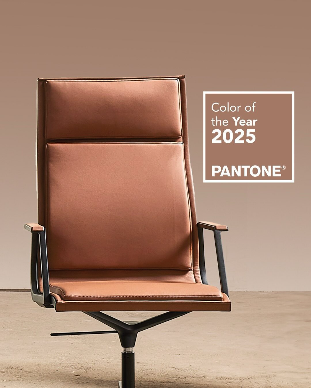 stuhl in der farbe des jahres 2025 mocha mousse