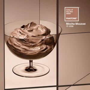 farbe des jahres 2025 mocha mousse