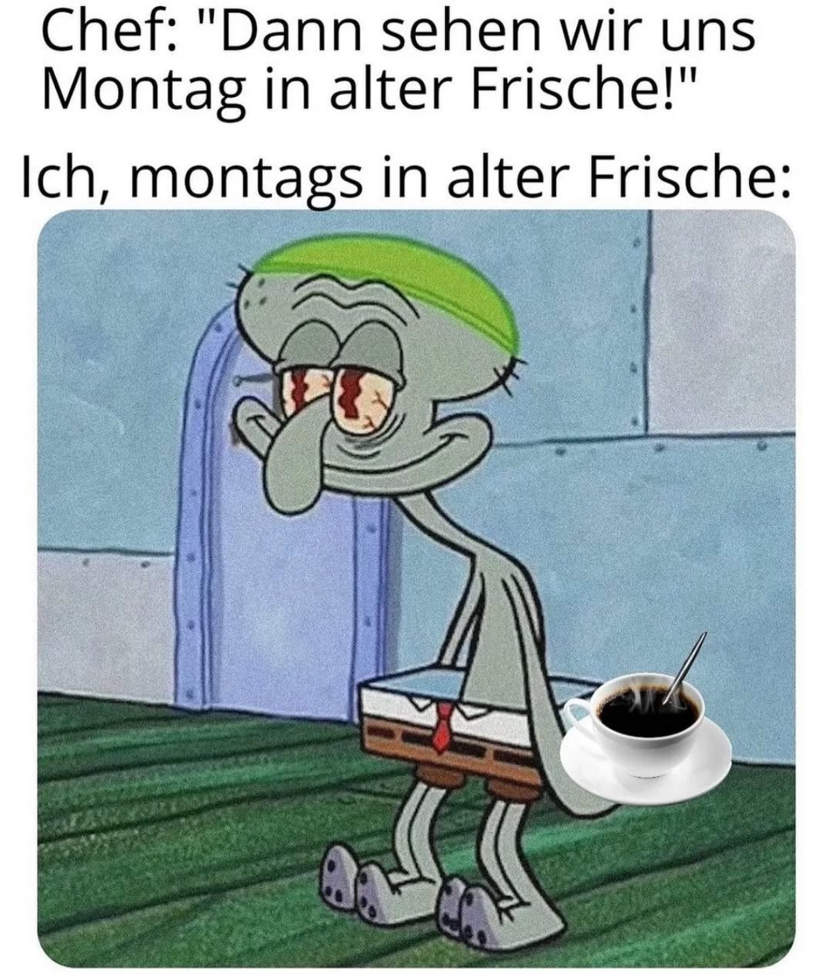 lustige bilder zum montag meme spongebob