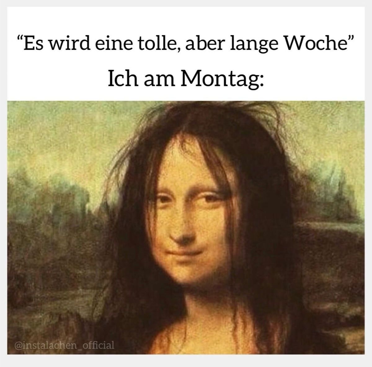 lustige bilder zum montag mona lisa