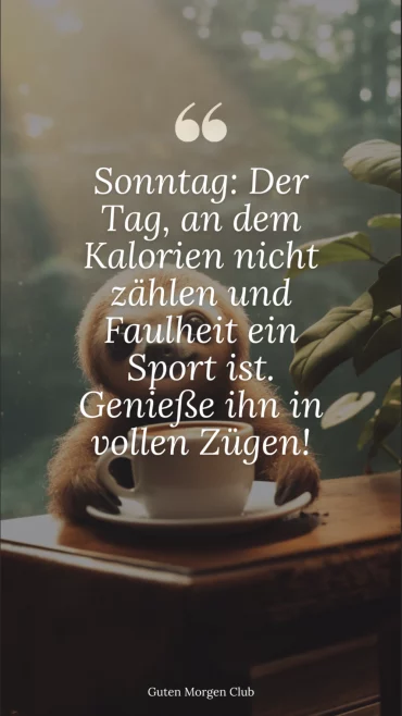 lustige bilder zum sonntag  spruch