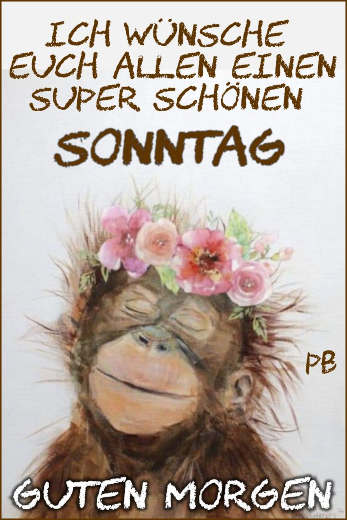 lustige bilder zum sonntag​ guten morgen