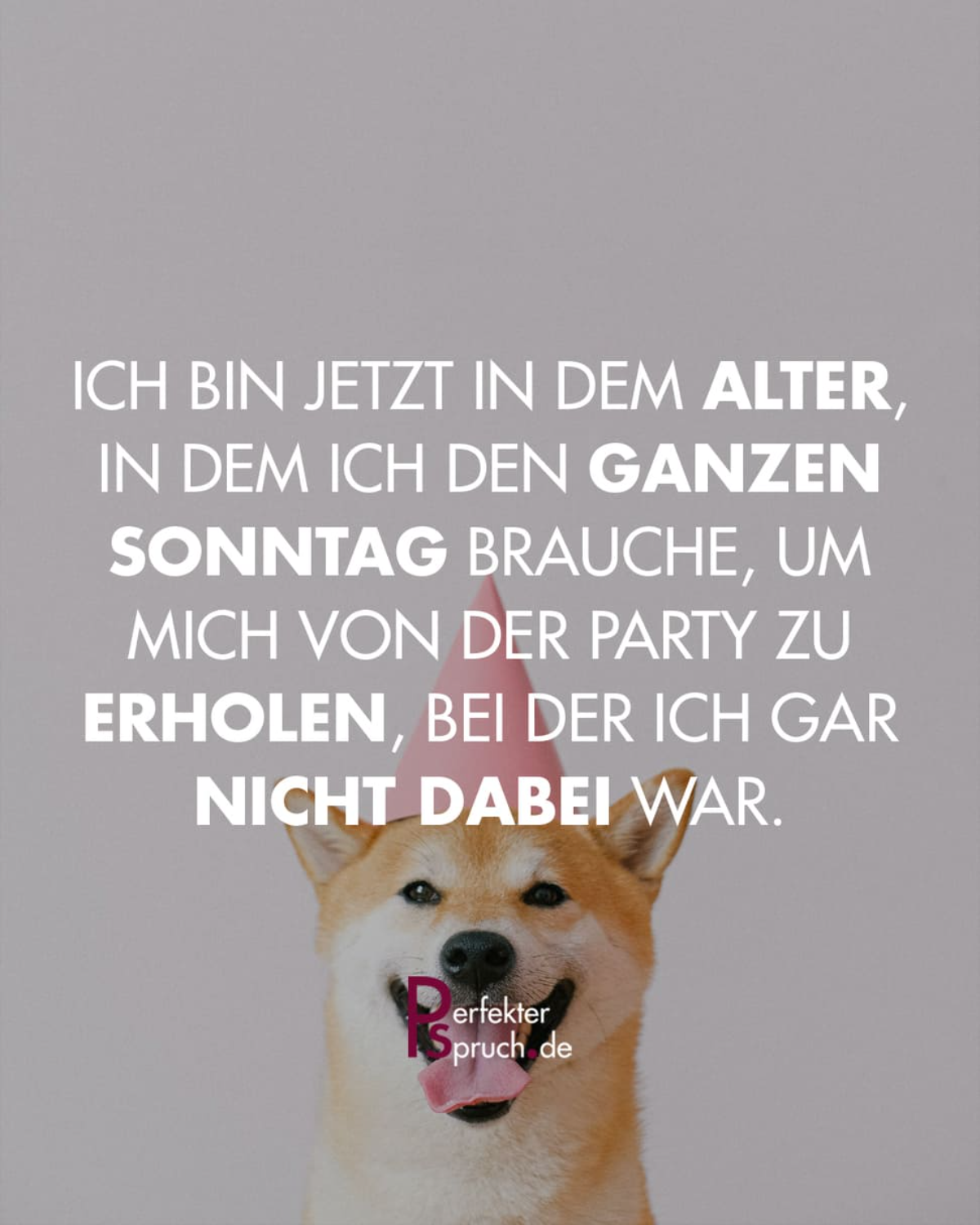 lustige bilder zum sonntag​ spruch party