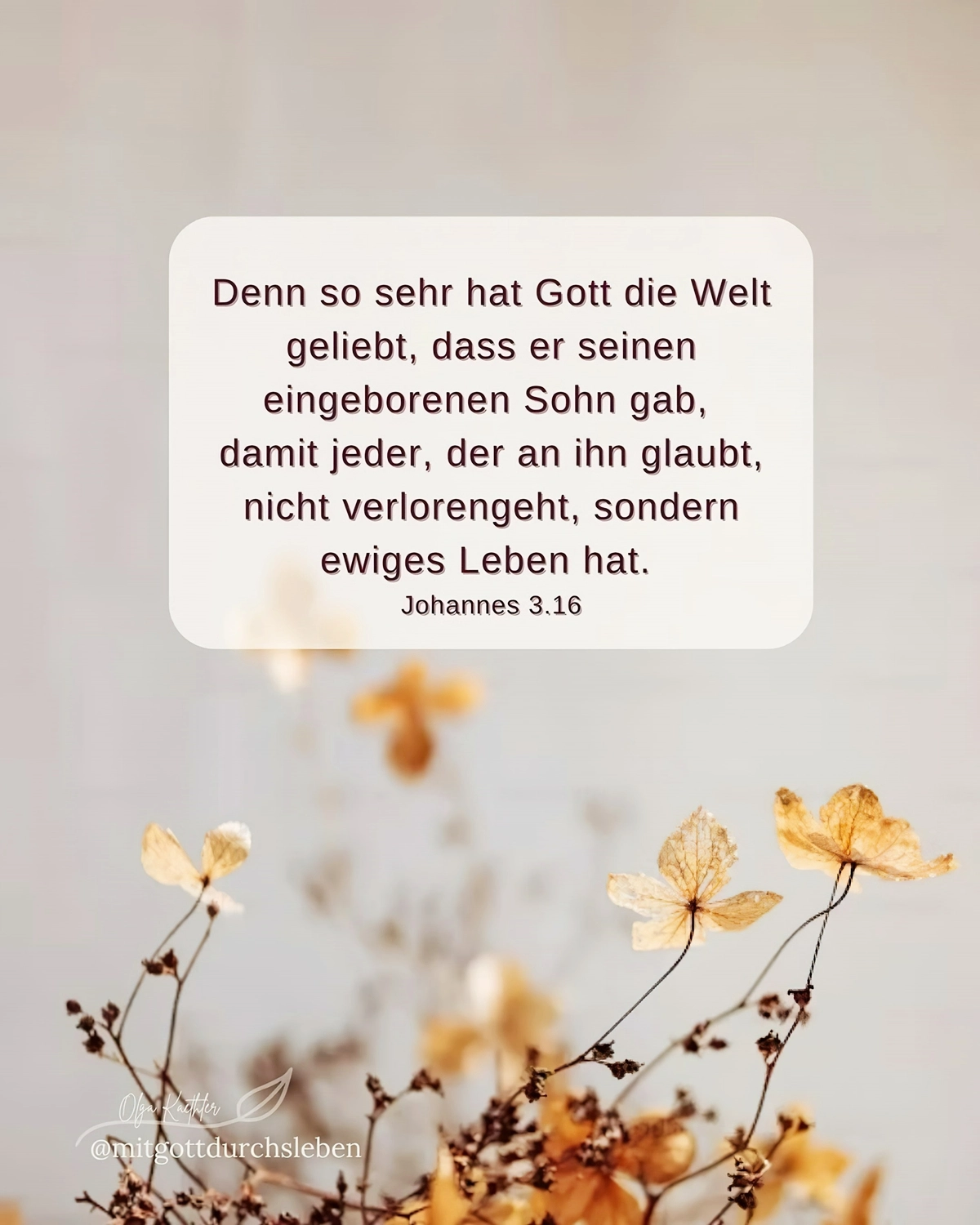 weihnachten texte zum nachdenken geldener zitat von der bibel john 3 16 mitgottdurchsleben