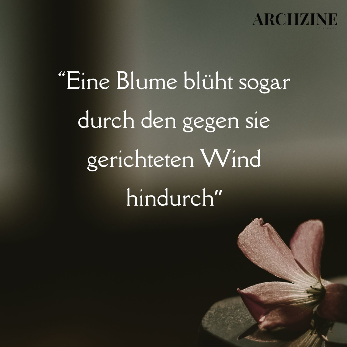 “eine blume blüht sogar durch den gegen sie gerichteten wind hindurch”