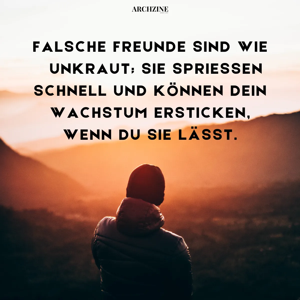 falsche freunde zitate