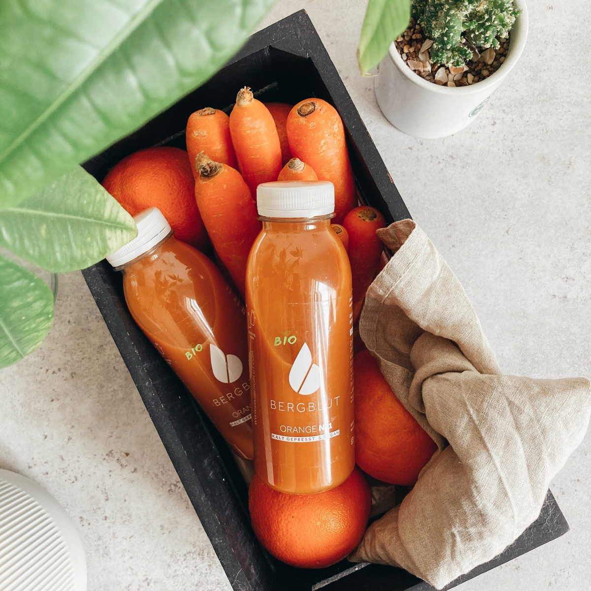 saft von orangen und karotten saft von orangen und karotten