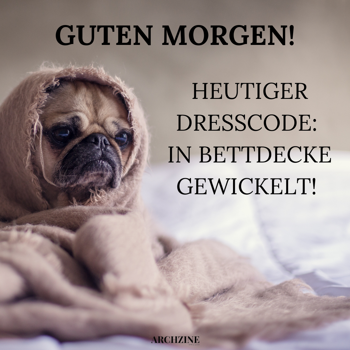 schönen guten morgen bilder mit hund