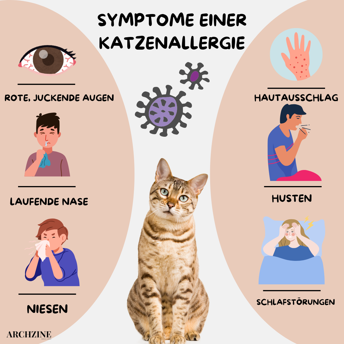 symptome einer katzenallergie