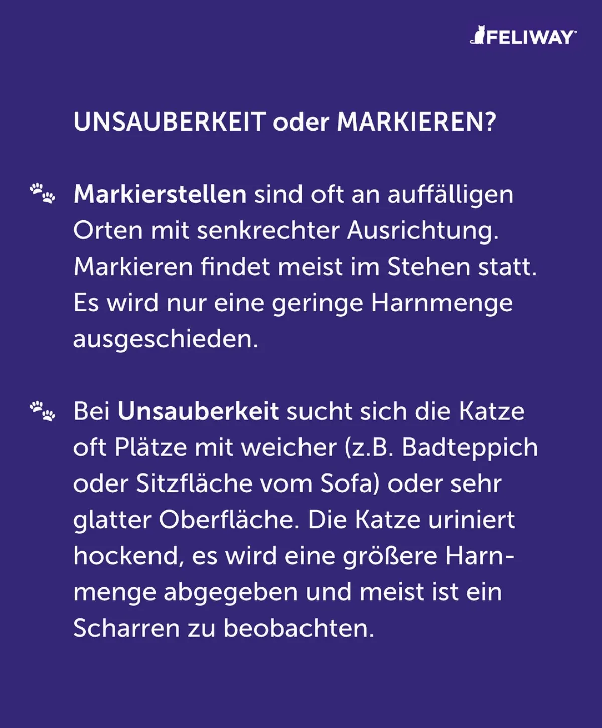 katze in wohnung pinkelt unsauberkeit oder markieren